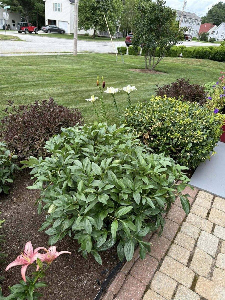 30 Bowdoin Drive, Brewer, ME 04412