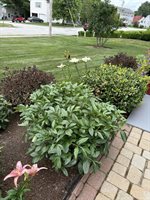 30 Bowdoin Drive, Brewer, ME 04412