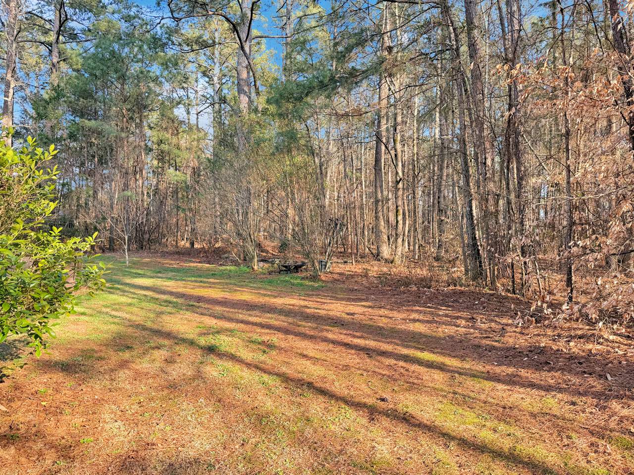 55 Loudoun Drive, Covington, GA 30014