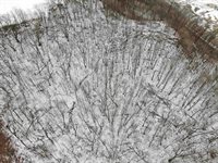 Hwy 82, Union, WI 54639