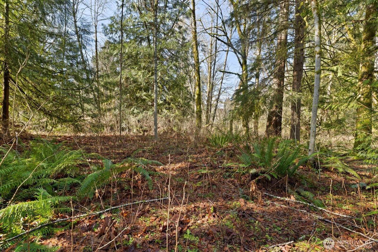 41971 Cedar Street, Concrete, WA 98237