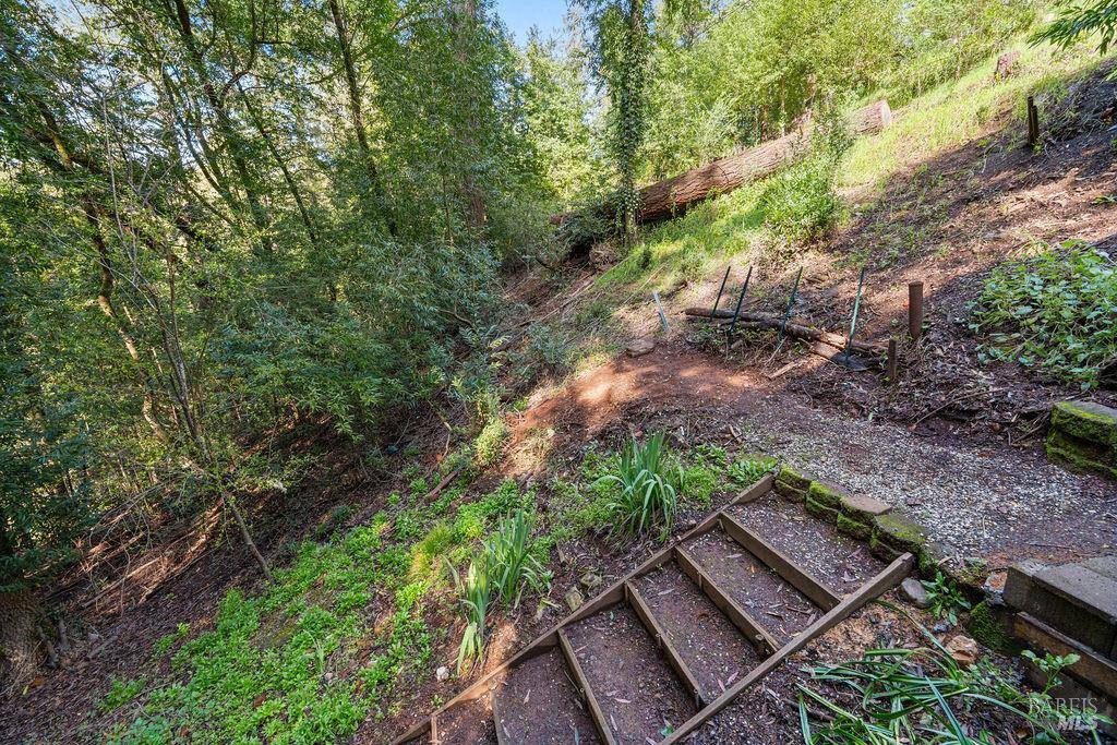 10987 Terrace Drive, Forestville, CA 95436