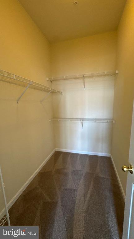 10715 Symphony Way, #206, Columbia, MD 21044