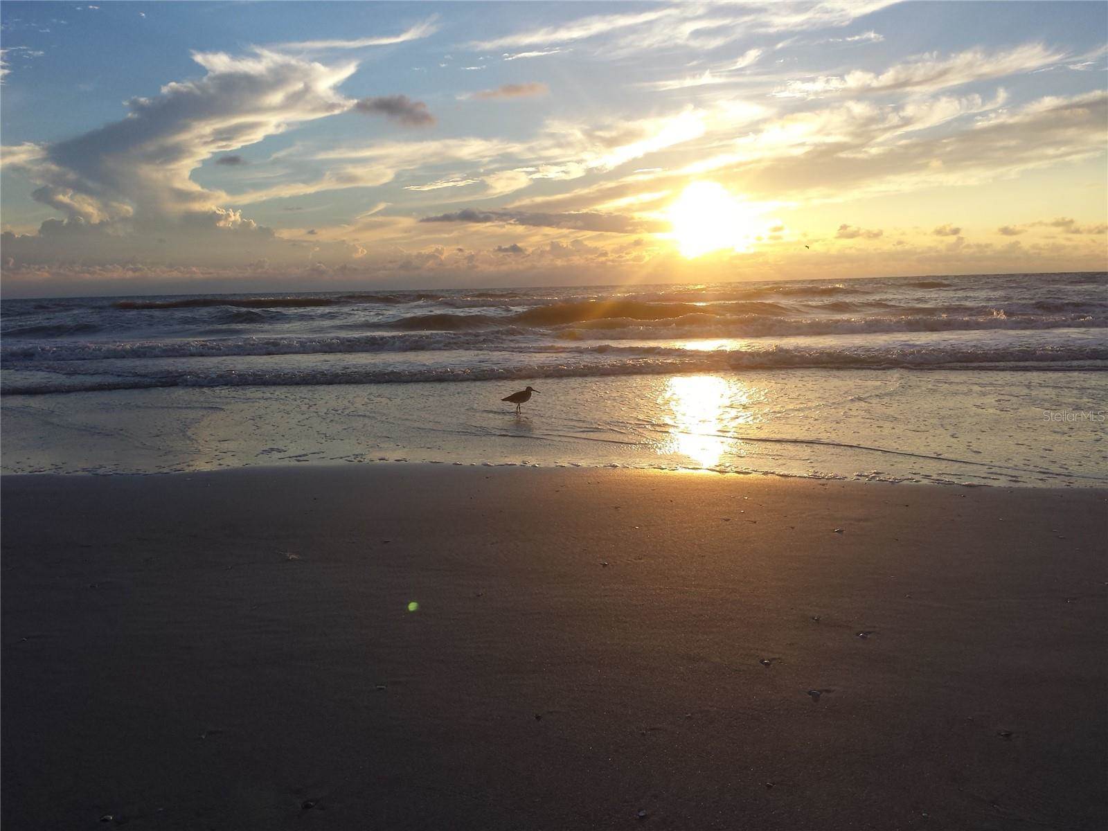 9950 62ND Terrace North, #106, Saint Petersburg, FL 33708