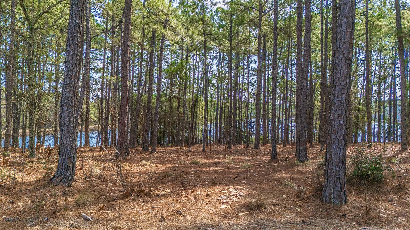 13 Abington Drive, Pinehurst, NC 28374