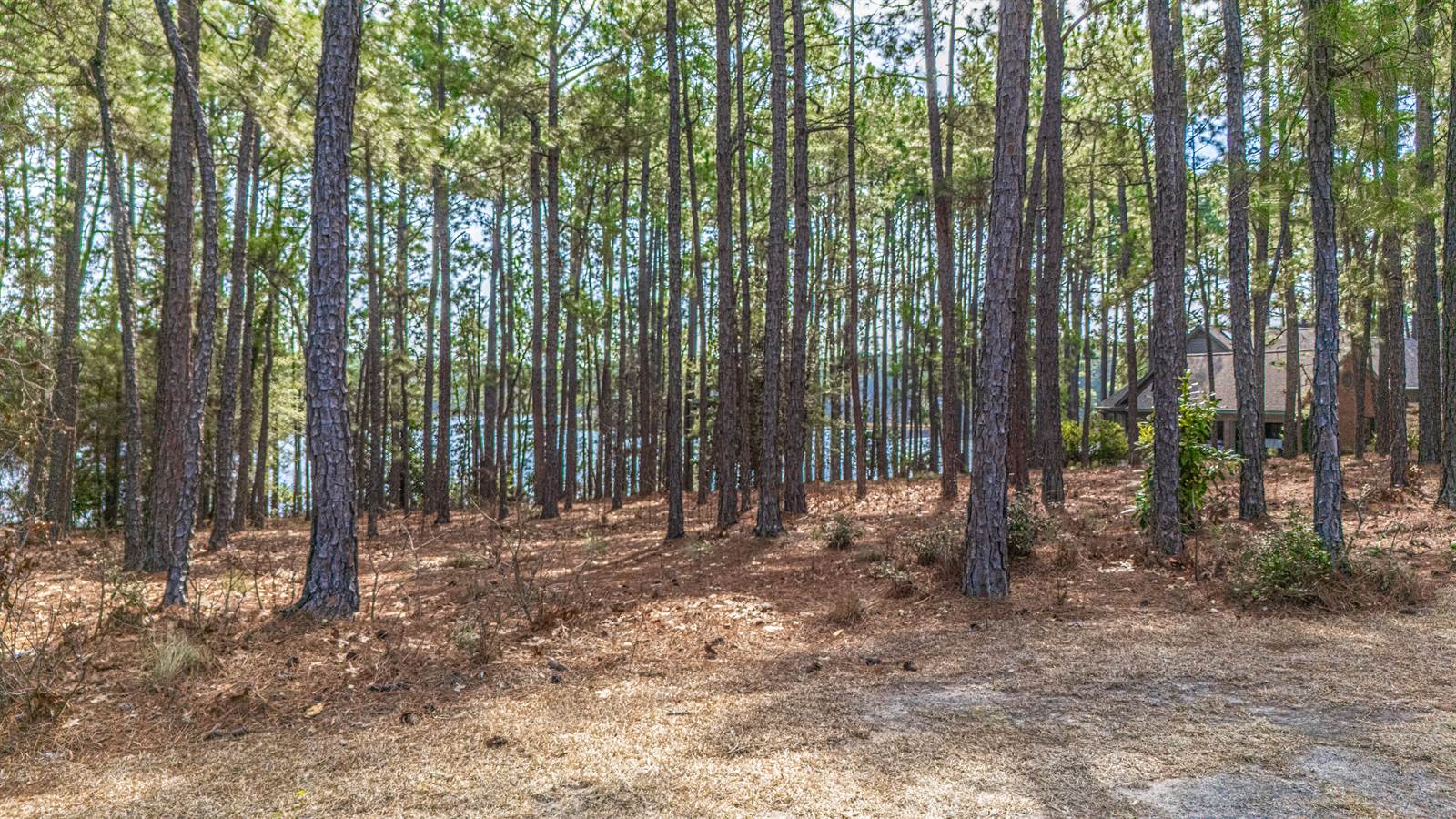 13 Abington Drive, Pinehurst, NC 28374