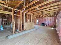 614 East Birch Avenue, Alamo, TX 78516