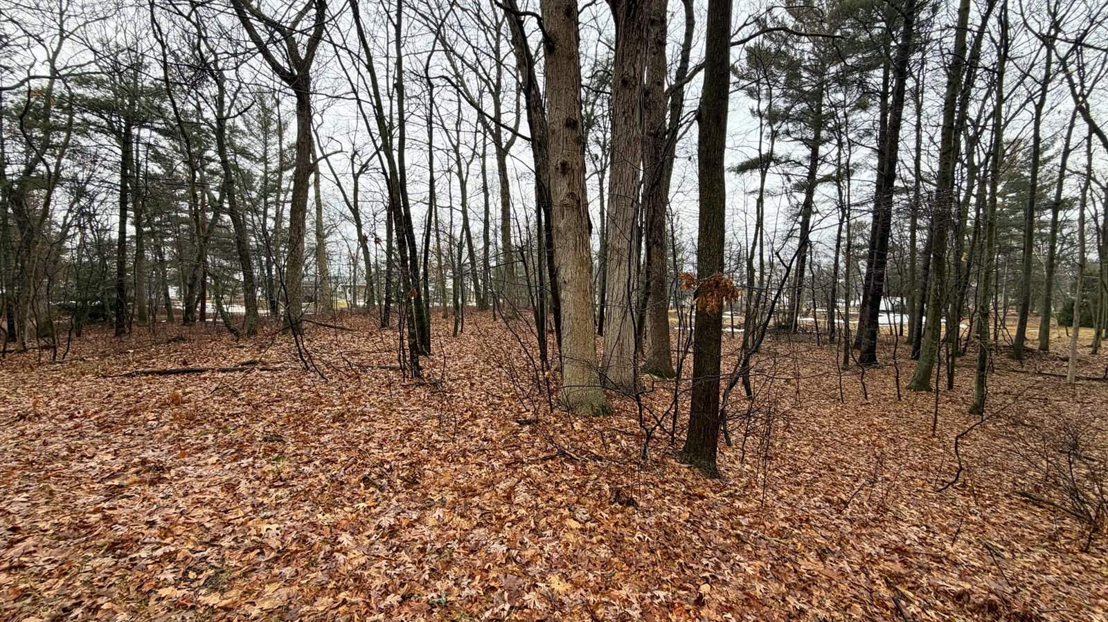 7585 Tree Top Lane, Pigeon, MI 48755