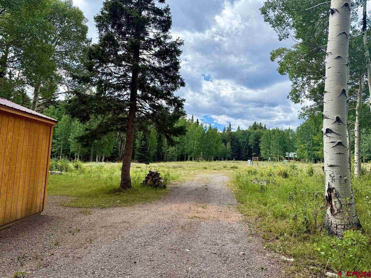 450 Hazel Lake Drive, Cimarron, CO 81220