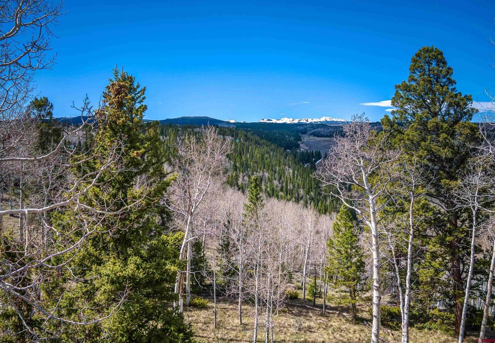450 Hazel Lake Drive, Cimarron, CO 81220