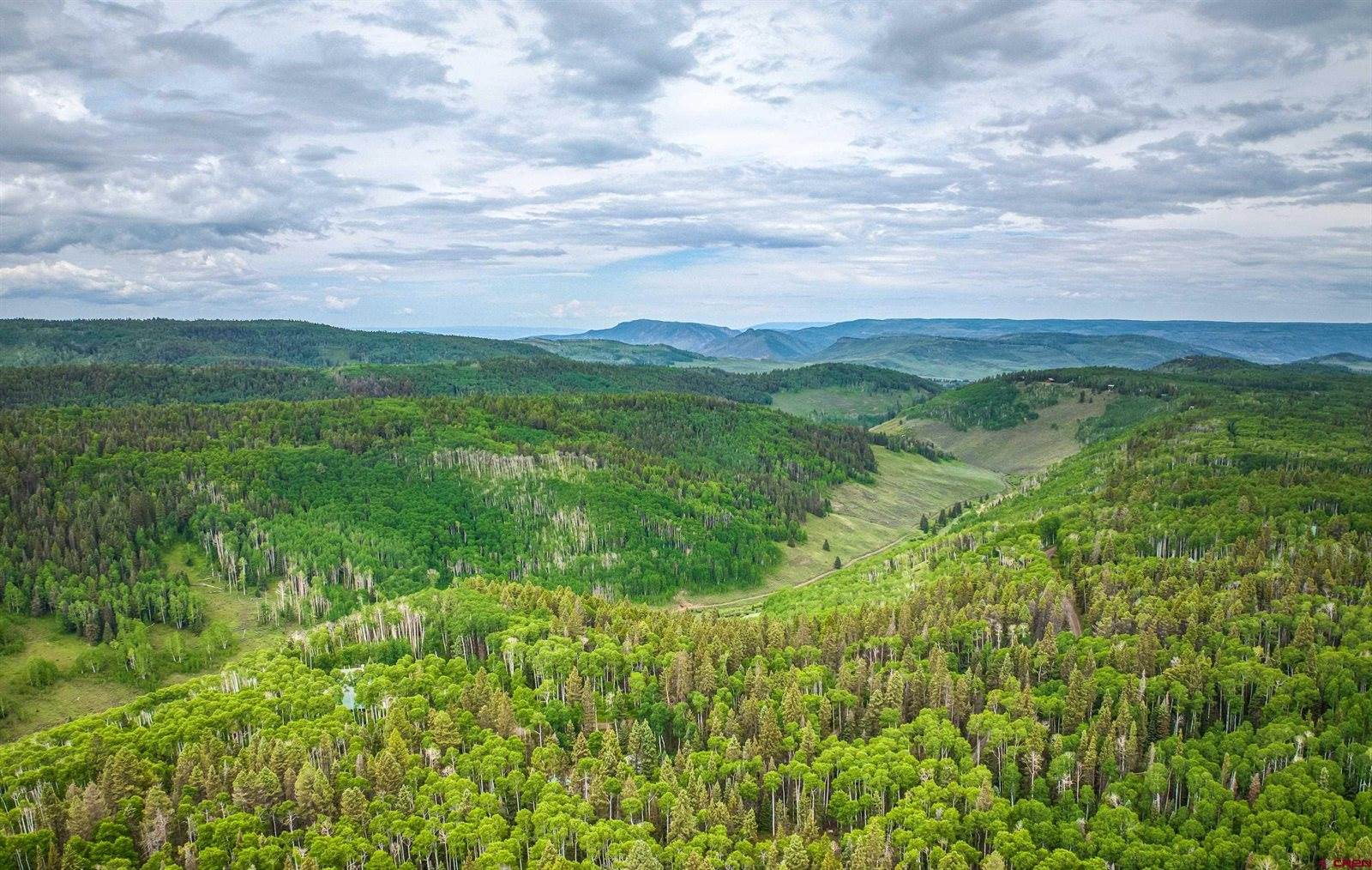 450 Hazel Lake Drive, Cimarron, CO 81220