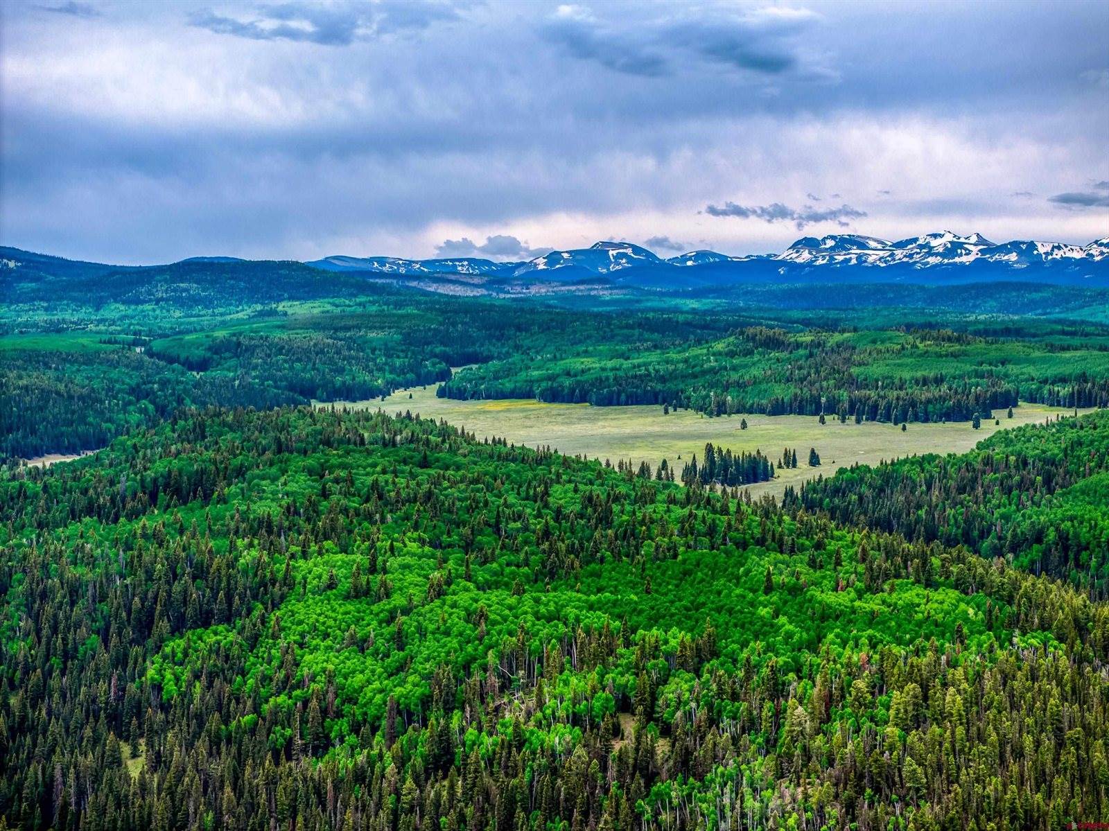 450 Hazel Lake Drive, Cimarron, CO 81220