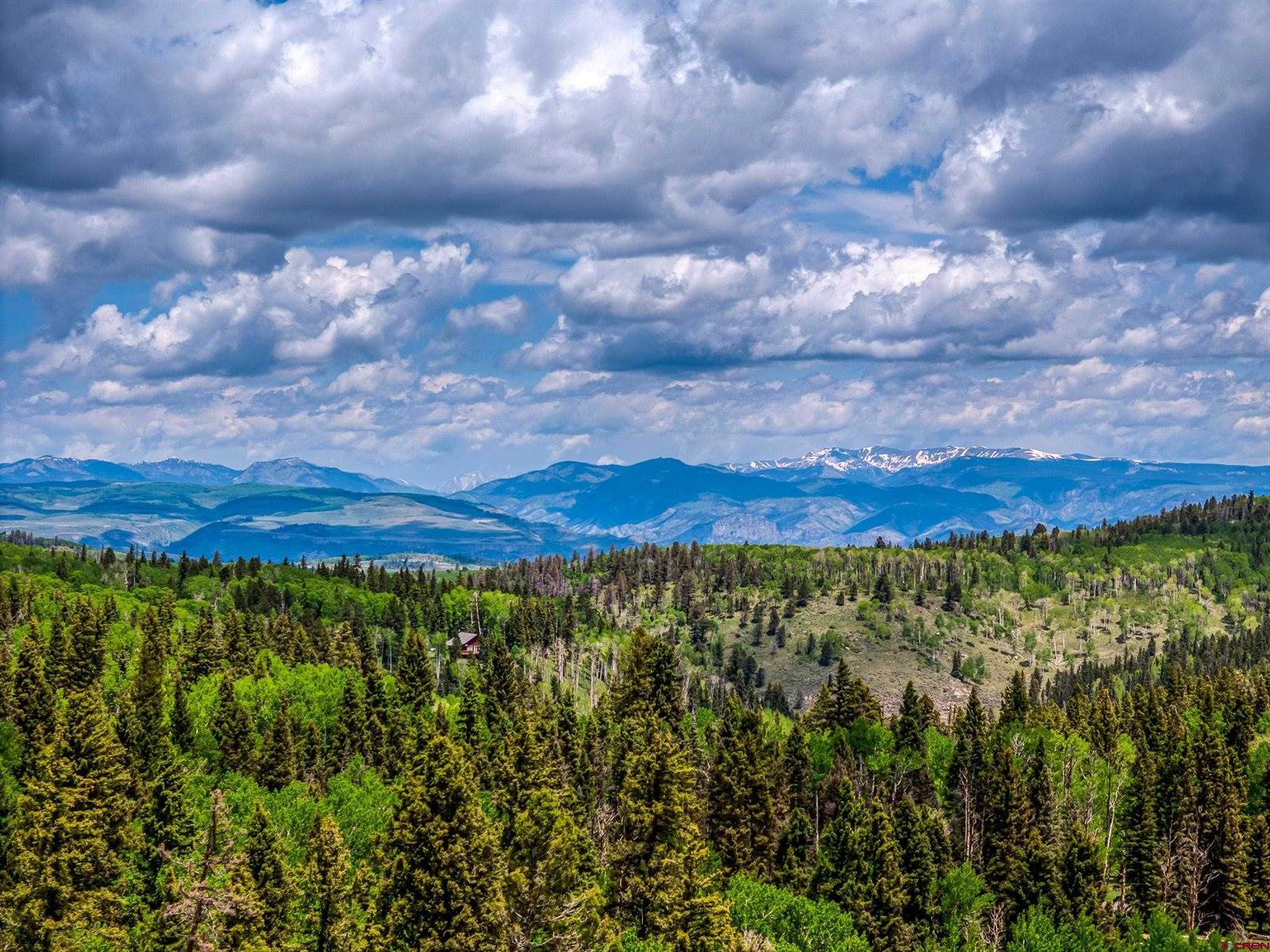 450 Hazel Lake Drive, Cimarron, CO 81220