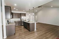 1427 Blue Creek Avenue, Montrose, CO 81401