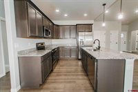 1427 Blue Creek Avenue, Montrose, CO 81401