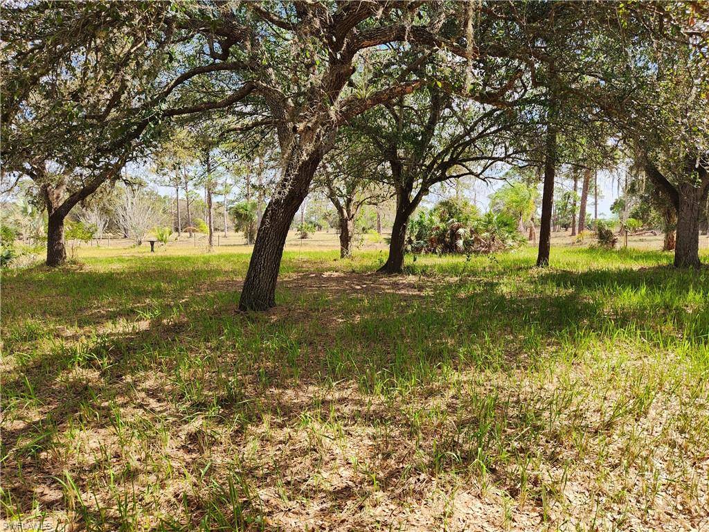 1975 Phillips Rd, Labelle, FL 33935