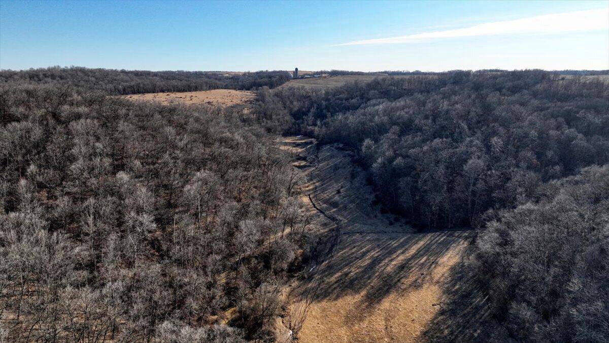 319 Acres County Road S, Boscobel, WI 53805