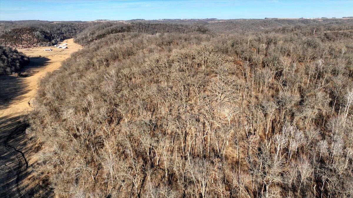 319 Acres County Road S, Boscobel, WI 53805