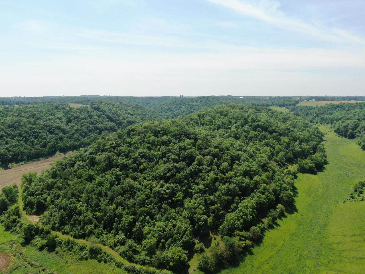 319 Acres County Road S, Boscobel, WI 53805