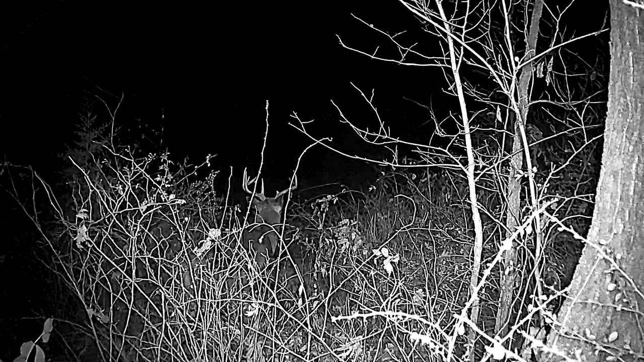319 Acres County Road S, Boscobel, WI 53805