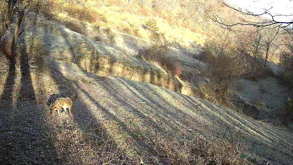 319 Acres County Road S, Boscobel, WI 53805