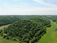 319 Acres County Road S, Boscobel, WI 53805