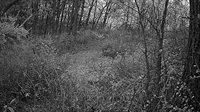 319 Acres County Road S, Boscobel, WI 53805