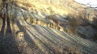 319 Acres County Road S, Boscobel, WI 53805