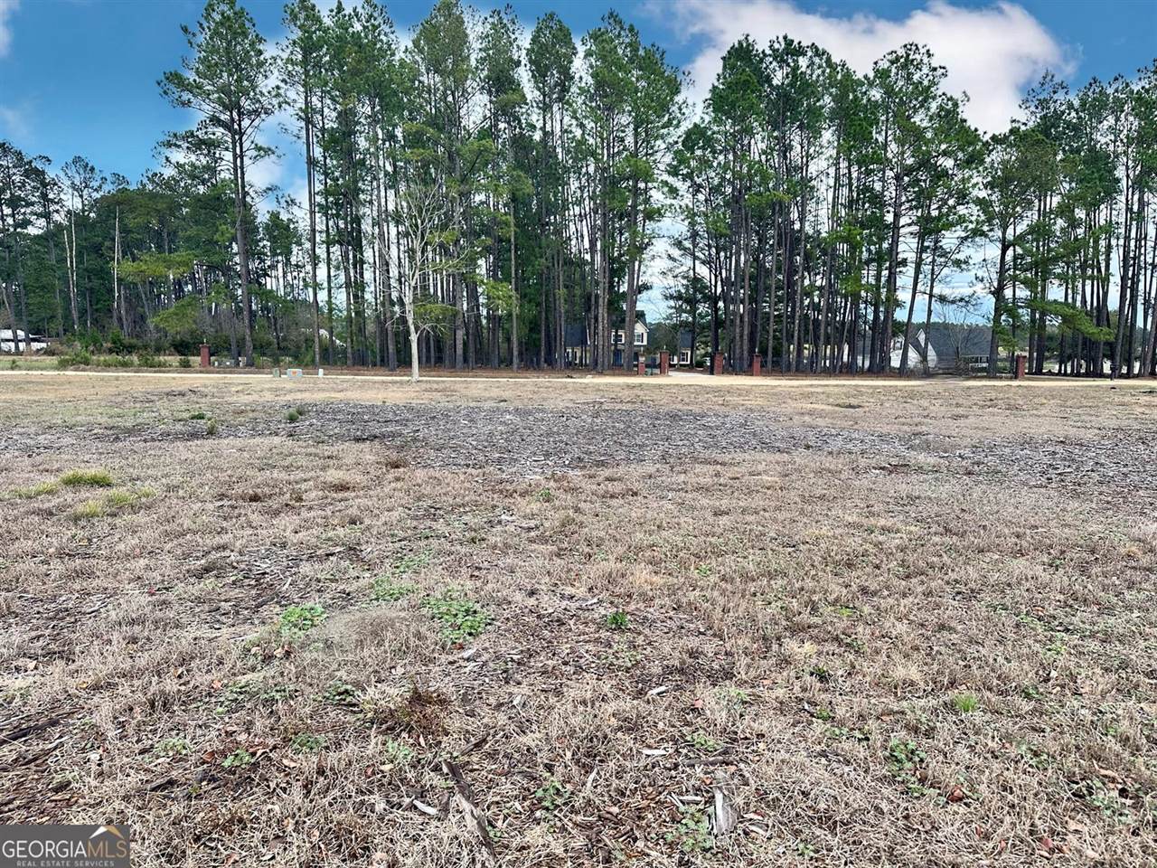 0 Southside Drive, Blackshear, GA 31516