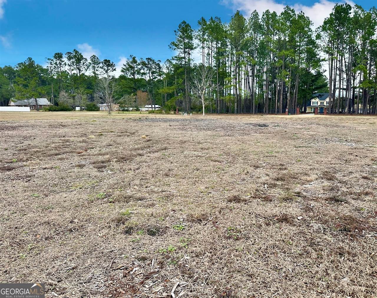 0 Southside Drive, Blackshear, GA 31516