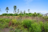 Harvey Parker Rd, DeQuincy, LA 70633