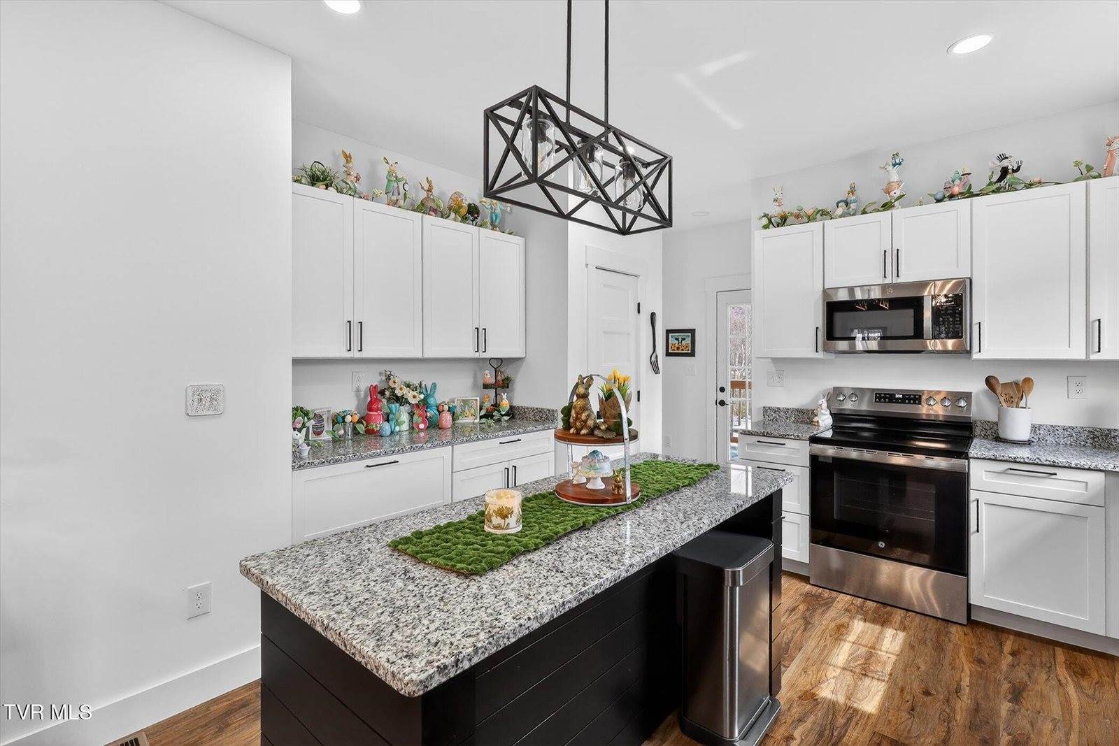 1610 East Millard Street, Johnson City, TN 37601