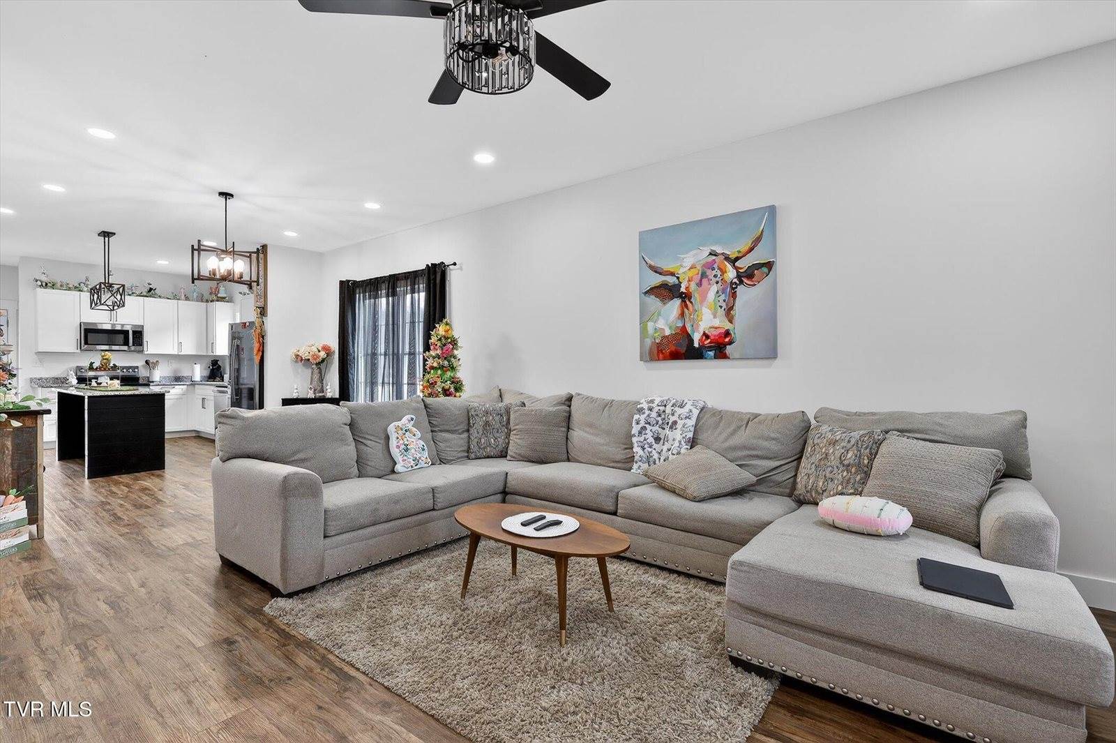 1610 East Millard Street, Johnson City, TN 37601