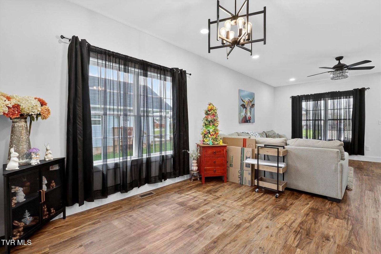 1610 East Millard Street, Johnson City, TN 37601