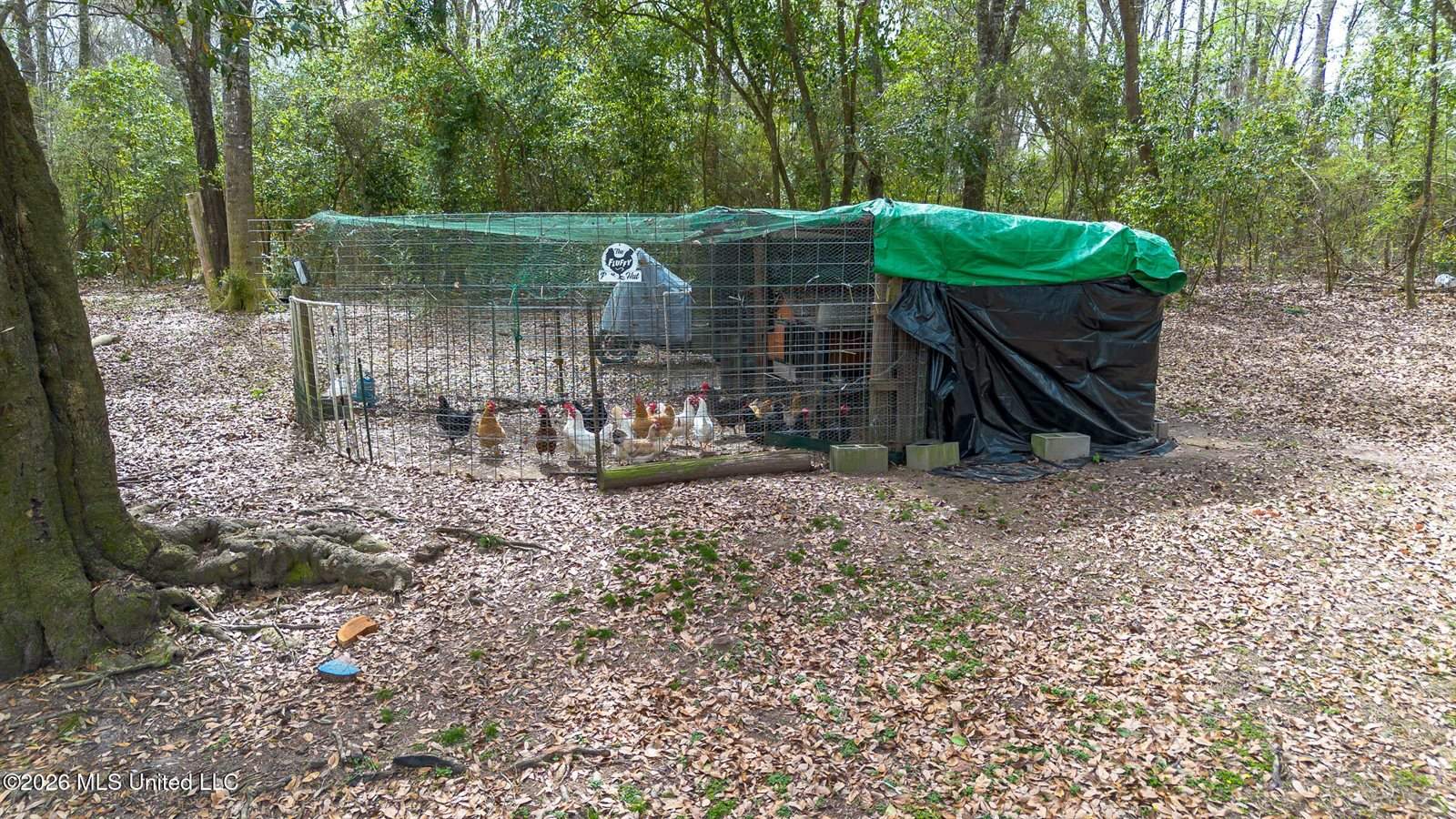 28 West M Stewart Road, Carriere, MS 39426