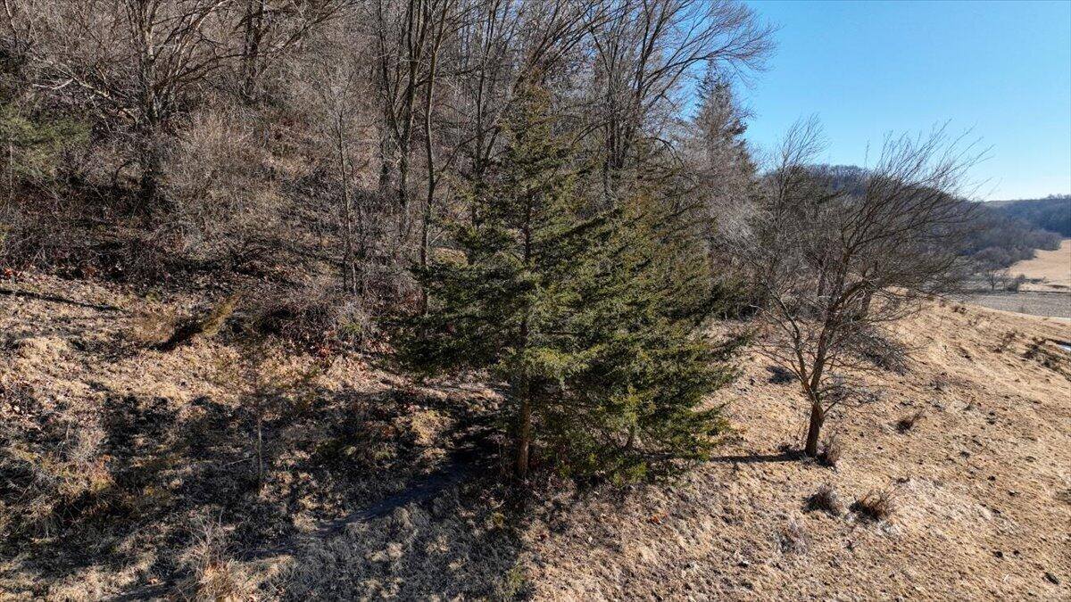Lot 0 County Road S -, Watterstown, WI 53805