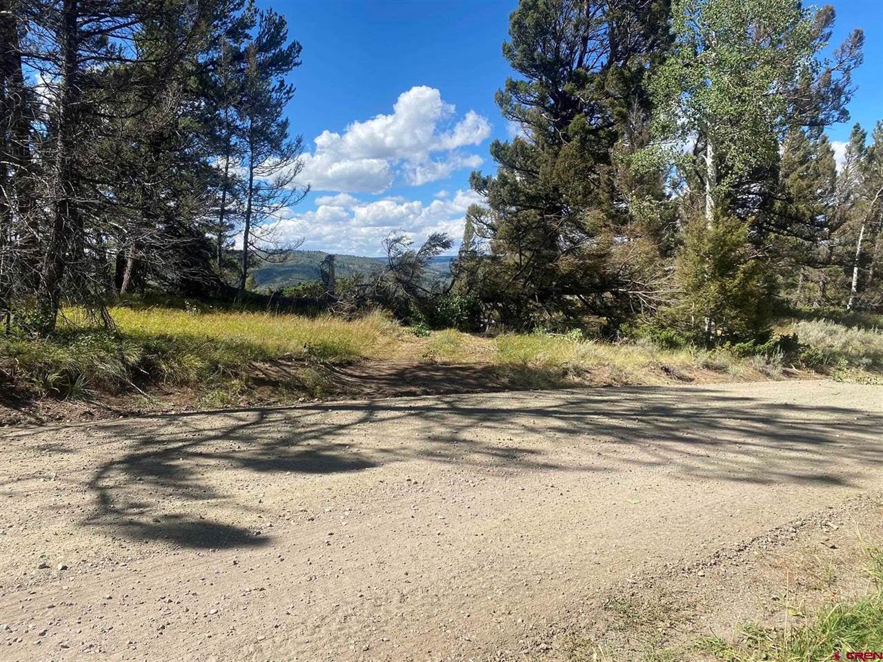 711 Crest Drive, Cimarron, CO 81220