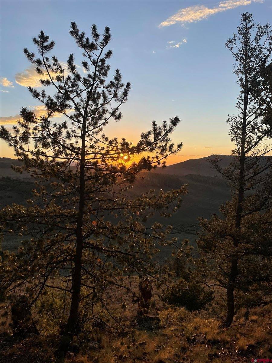 711 Crest Drive, Cimarron, CO 81220