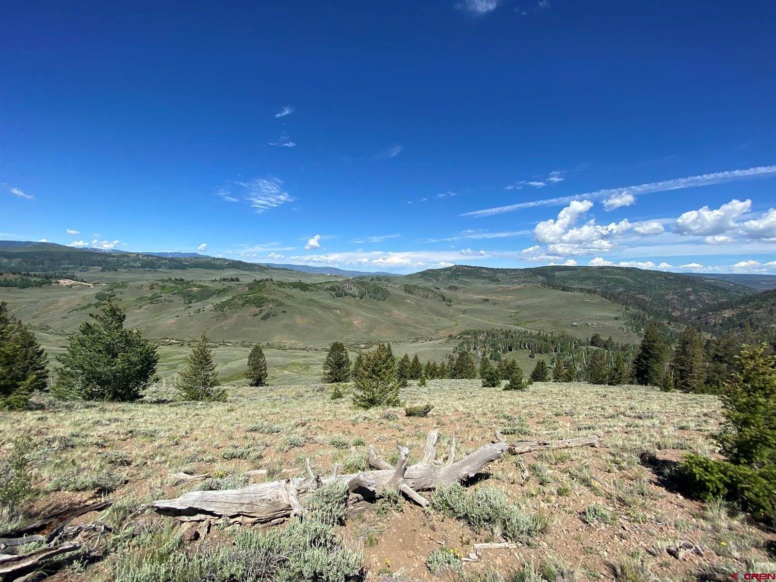 711 Crest Drive, Cimarron, CO 81220