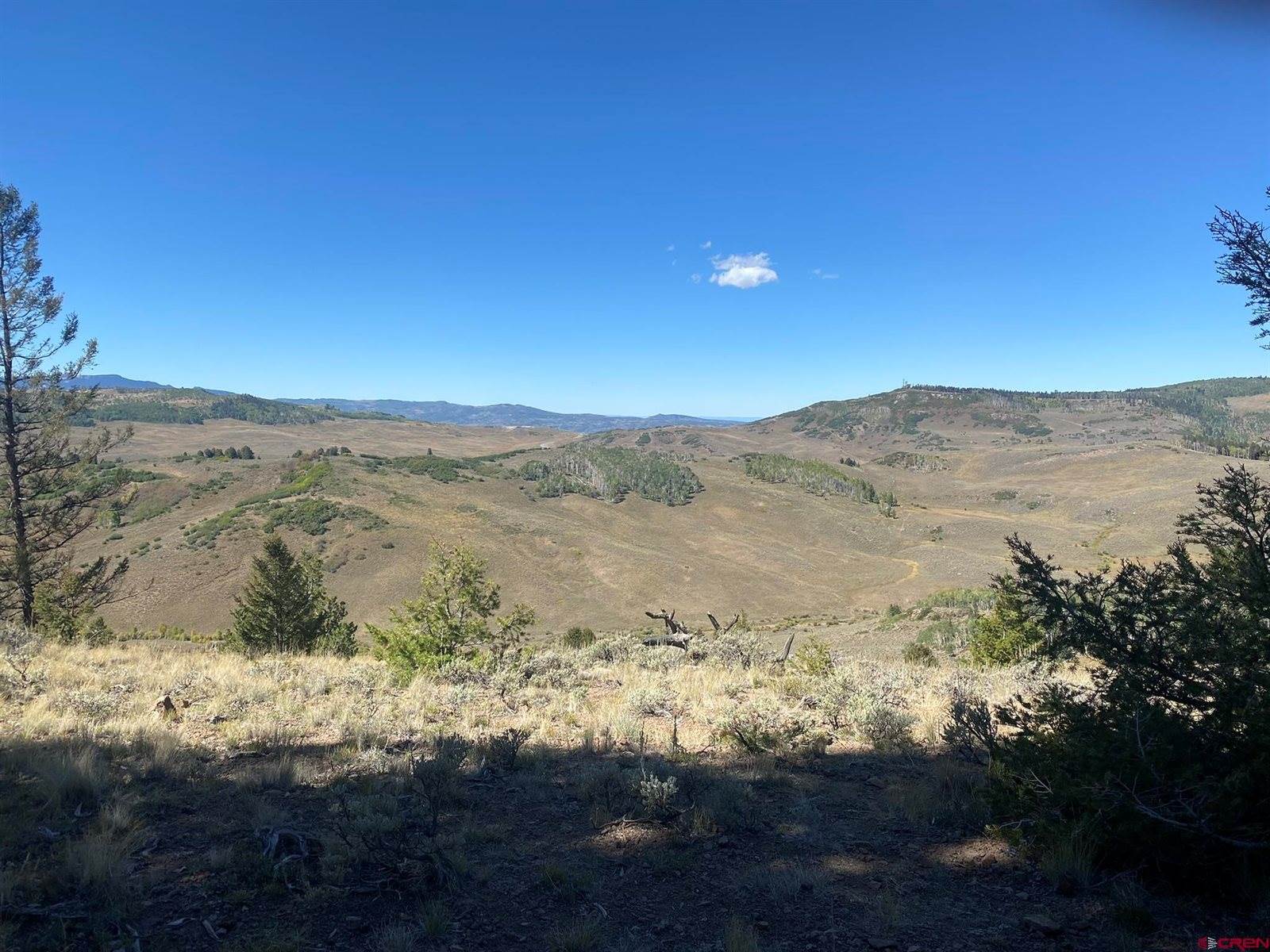 711 Crest Drive, Cimarron, CO 81220