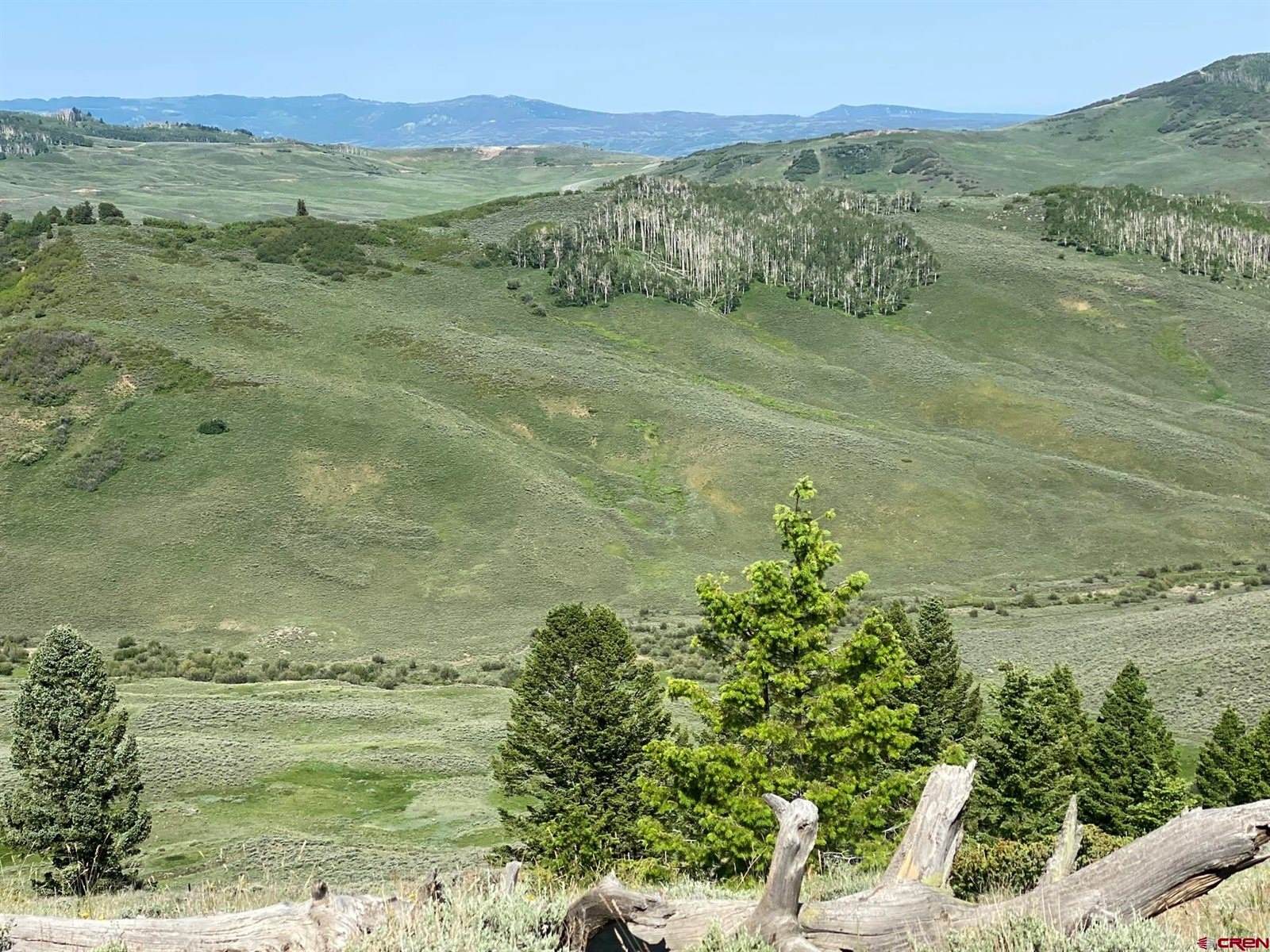 711 Crest Drive, Cimarron, CO 81220