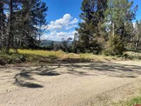 711 Crest Drive, Cimarron, CO 81220