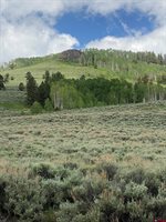 711 Crest Drive, Cimarron, CO 81220