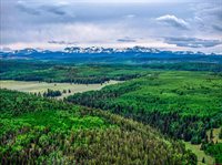 711 Crest Drive, Cimarron, CO 81220
