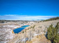 711 Crest Drive, Cimarron, CO 81220