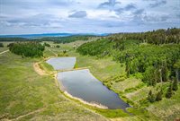 711 Crest Drive, Cimarron, CO 81220