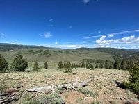 711 Crest Drive, Cimarron, CO 81220