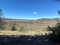 711 Crest Drive, Cimarron, CO 81220