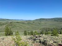 711 Crest Drive, Cimarron, CO 81220