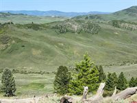 711 Crest Drive, Cimarron, CO 81220